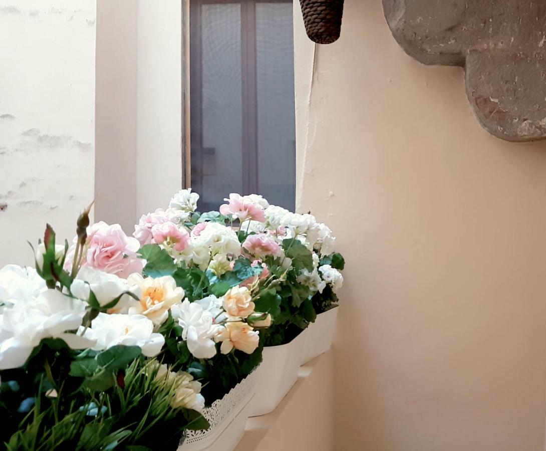 Velvet Loft - Santo Spirito Apartment ฟลอเรนซ์ ภายนอก รูปภาพ